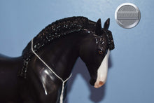 Load image into Gallery viewer, Night Life-Glossy-OOAK-Glossy-Peter Stone Andalusian