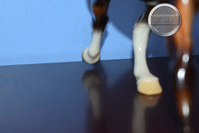 Load image into Gallery viewer, Equinox-Wixom Mold-Breyer Traditional