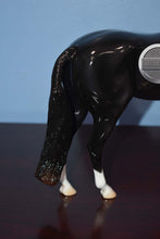 Load image into Gallery viewer, Night Life-Glossy-OOAK-Glossy-Peter Stone Andalusian