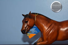 Load image into Gallery viewer, Barrel Racing Set-Scamper-Breyerfest Exclusive-Scamper Mold-Breyer Classic