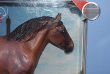 Load image into Gallery viewer, Simba-Breyerfest Exclusive-Roy Belgian Mold-Breyer Traditional