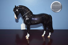 Load image into Gallery viewer, Night Life-Glossy-OOAK-Glossy-Peter Stone Andalusian