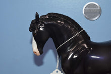 Load image into Gallery viewer, Night Life-Glossy-OOAK-Glossy-Peter Stone Andalusian