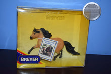 Load image into Gallery viewer, Boone's Little Buckaroo-Midnight Tango Mold-Breyer Traditional