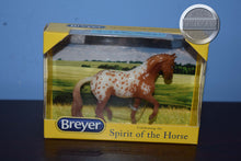 Load image into Gallery viewer, Aiden-Stablemate Club Exclusive-New in Box-Mini Valegro Mold-Breyer Stablemate