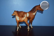 Load image into Gallery viewer, Spotted Legacy Gift Set-Sears Exclusive-Proud Arabian Mare and Foal Mold-Breyer Traditional