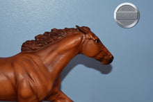 Load image into Gallery viewer, Dead Heat-Chestnut-Breyerfest Exclusive-Ruffian Mold-Breyer Traditional