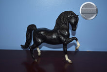 Load image into Gallery viewer, Prancing Morgan-Sherman Morgan Mold-Breyer Traditional