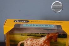 Load image into Gallery viewer, Aiden-Stablemate Club Exclusive-New in Box-Mini Valegro Mold-Breyer Stablemate