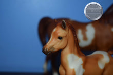 Load image into Gallery viewer, Spotted Legacy Gift Set-Sears Exclusive-Proud Arabian Mare and Foal Mold-Breyer Traditional