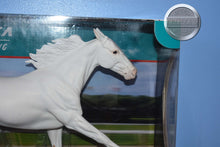 Load image into Gallery viewer, Via Lattea-Breyerfest Exclusive-New in Box-Standardbred Mold-Breyer Traditional