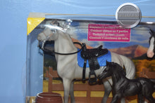 Load image into Gallery viewer, Heroes of the West-Damaged Box-Breyer Classic
