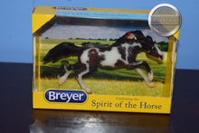 Load image into Gallery viewer, Kohana-Stablemate Club Exclusive-New in Box-Running Mustang Mold-Breyer Stablemate