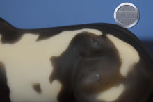 Load image into Gallery viewer, Grullo Pinto Cutting Horse and Calf-Cutting Horse and Calf Mold-Breyer Classic