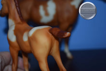 Load image into Gallery viewer, Spotted Legacy Gift Set-Sears Exclusive-Proud Arabian Mare and Foal Mold-Breyer Traditional