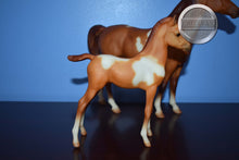Load image into Gallery viewer, Spotted Legacy Gift Set-Sears Exclusive-Proud Arabian Mare and Foal Mold-Breyer Traditional