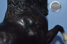 Load image into Gallery viewer, Prancing Morgan-Sherman Morgan Mold-Breyer Traditional