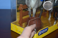 Load image into Gallery viewer, Heroes of the West-Damaged Box-Breyer Classic