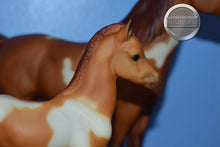 Load image into Gallery viewer, Spotted Legacy Gift Set-Sears Exclusive-Proud Arabian Mare and Foal Mold-Breyer Traditional