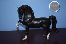 Load image into Gallery viewer, Prancing Morgan-Sherman Morgan Mold-Breyer Traditional