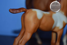 Load image into Gallery viewer, Spotted Legacy Gift Set-Sears Exclusive-Proud Arabian Mare and Foal Mold-Breyer Traditional