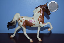 Load image into Gallery viewer, Salem #2 in stock-Halloween Exclusive-Breyer Classic