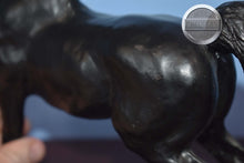 Load image into Gallery viewer, Prancing Morgan-Sherman Morgan Mold-Breyer Traditional