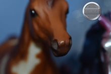 Load image into Gallery viewer, Spotted Legacy Gift Set-Sears Exclusive-Proud Arabian Mare and Foal Mold-Breyer Traditional