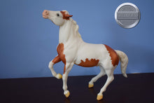 Load image into Gallery viewer, San Domingo-Semi Rearing Mustang Mold-Breyer Traditional