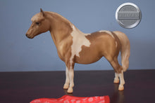 Load image into Gallery viewer, Mittens-Holiday Exclusive with Blanket-Shetland Pony Mold-Breyer Traditional