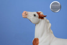 Load image into Gallery viewer, San Domingo-Semi Rearing Mustang Mold-Breyer Traditional