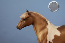 Load image into Gallery viewer, Mittens-Holiday Exclusive with Blanket-Shetland Pony Mold-Breyer Traditional