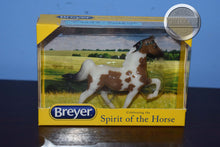 Load image into Gallery viewer, Raleigh-New in Box-Stablemate Club Exclusive-Five Gaiter Mold-Breyer Stablemate