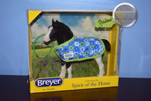 Load image into Gallery viewer, Shadow-Best Friends Series-New in Box-Clydesdale Foal Mold-Breyer Traditional