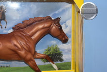 Load image into Gallery viewer, California Chrome-New in Box-Cigar Mold-Breyer Traditional