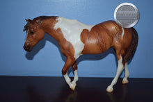 Load image into Gallery viewer, Can&#39;t Hold Us Down-Brown Brindle-Breyerfest Exclusive-Indian Pony Mold-Breyer Traditional