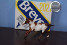 Load image into Gallery viewer, Raider with Box-Stablemate Club Exclusive-Original on the Mold-Breyer Stablemate