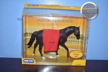 Load image into Gallery viewer, Forego-Broken Box-John Henry Mold-Breyer Traditional