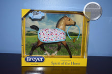 Load image into Gallery viewer, Milo-Best Friends Series-New in Box-Running Foal Mold-Breyer Traditional