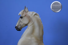 Load image into Gallery viewer, Cloud-30th Anniversary Edition-Desatado Mold-Breyer Traditional