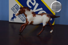 Load image into Gallery viewer, Raider with Box-Stablemate Club Exclusive-Original on the Mold-Breyer Stablemate