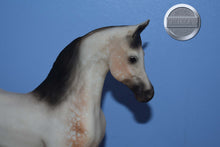 Load image into Gallery viewer, Rose Grey Arabian-Khemosabi Mold-Breyer Traditional