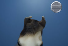 Load image into Gallery viewer, Rose Grey Arabian-Khemosabi Mold-Breyer Traditional
