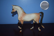 Load image into Gallery viewer, Rose Grey Arabian-Khemosabi Mold-Breyer Traditional