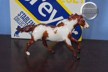 Load image into Gallery viewer, Raider with Box-Stablemate Club Exclusive-Original on the Mold-Breyer Stablemate