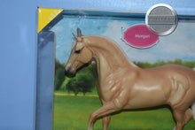 Load image into Gallery viewer, Palomino Morgan-Morgan Stallion Mold-Breyer Classic