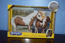 Load image into Gallery viewer, Misty and Stormy with Book-Misty and Stormy Mold-Breyer Traditional