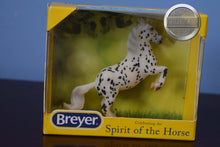 Load image into Gallery viewer, Klaus-Stablemate Club Exclusive-Lipizzaner Mold-Breyer Stablemate