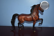 Load image into Gallery viewer, All Glory-Breyerfest Exclusive-National Show Horse Mold-Breyer Traditional