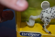 Load image into Gallery viewer, Klaus-Stablemate Club Exclusive-Lipizzaner Mold-Breyer Stablemate